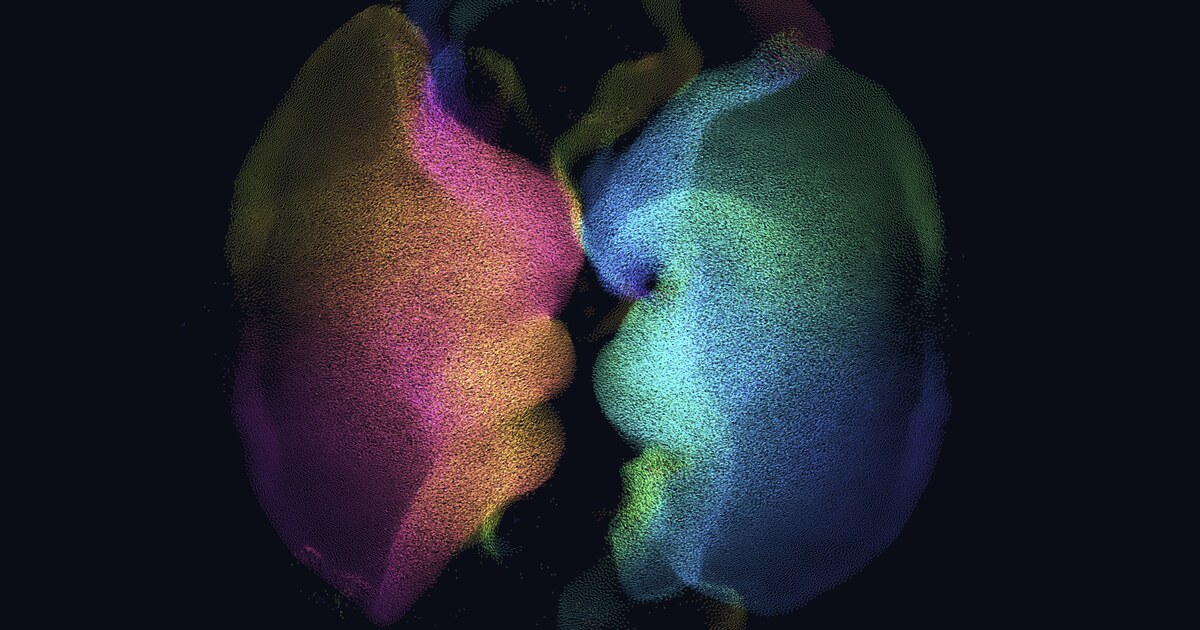 Blids - two dense flocks of hundreds of thousands of boids, coloured by heading